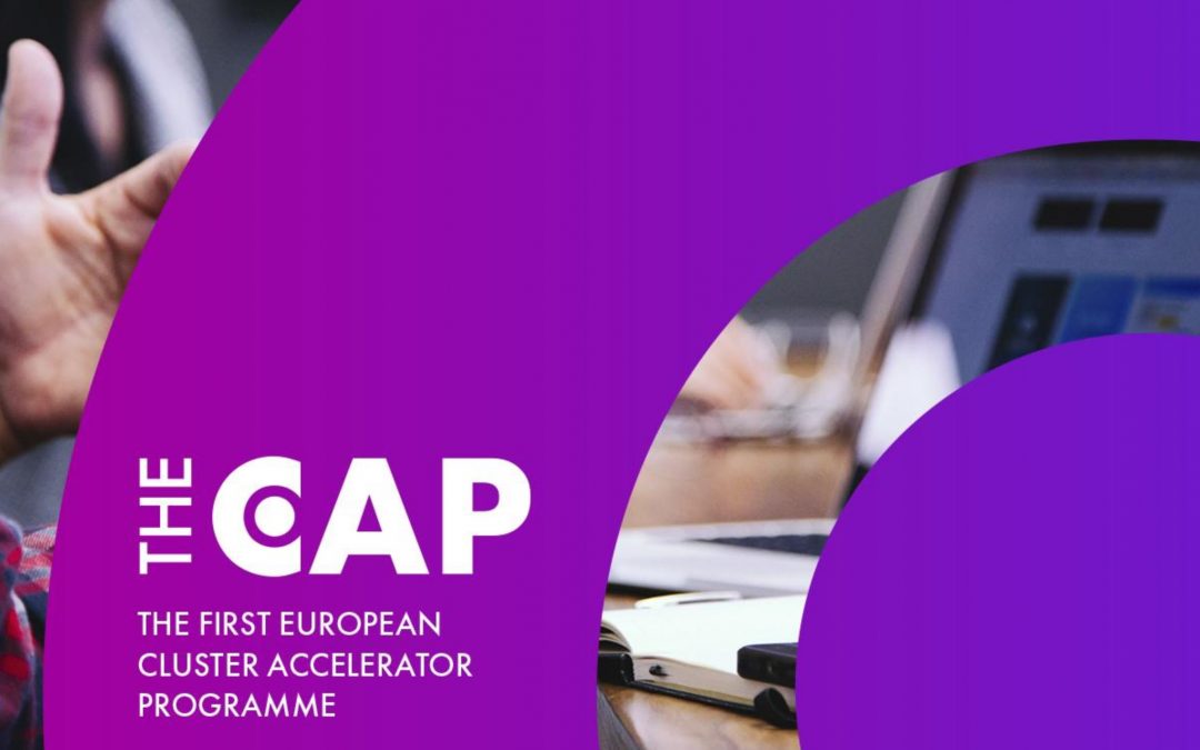 Clusters of Change – Europe’s First Cluster Accelerator Program – An Interview with Bianca Dragomir