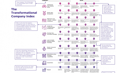 Assess Using the Transformational Company Index